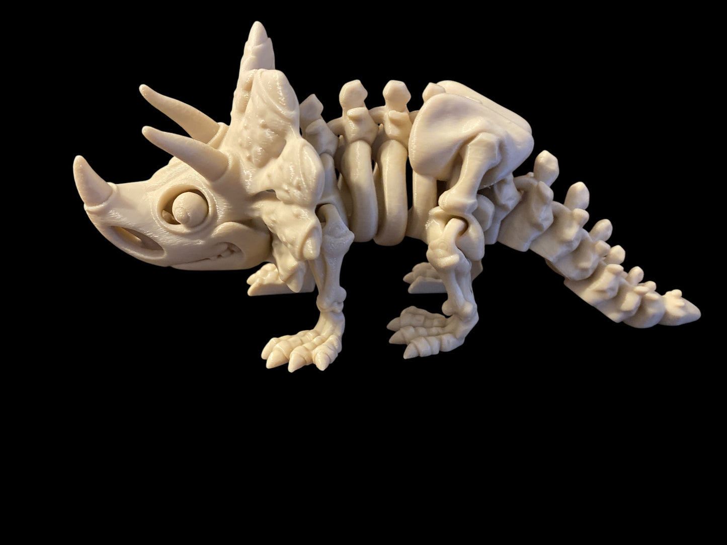 Skeletal Triceratops