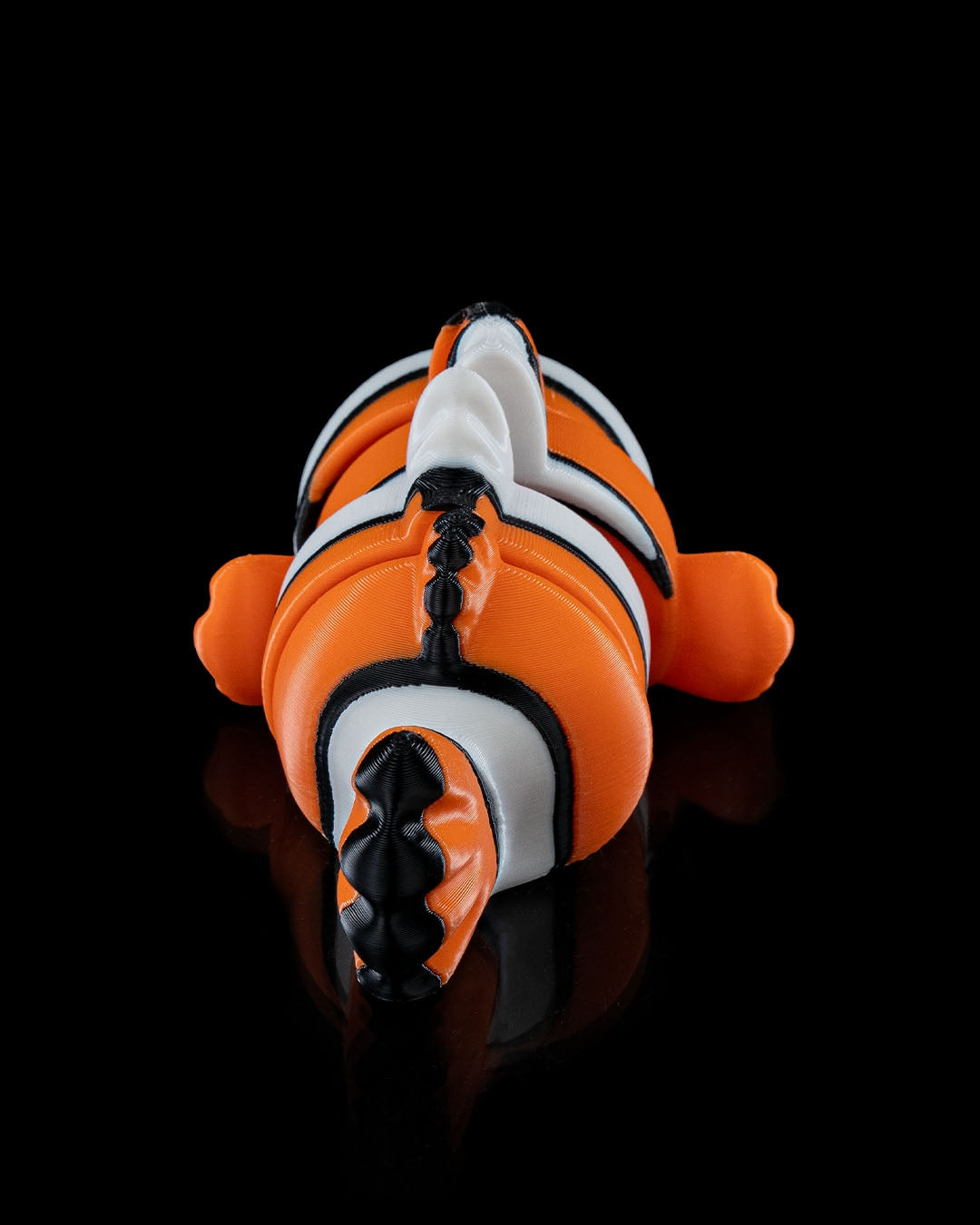 Set of Clownfish