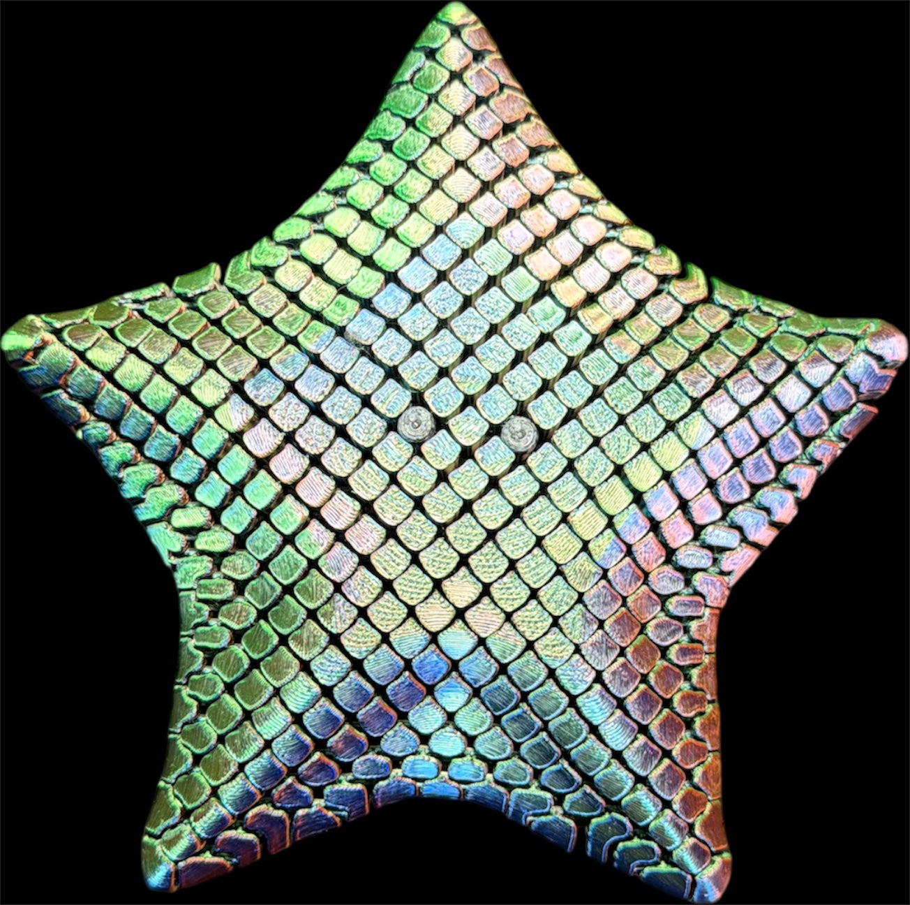 Bessie the Bat Sea Star
