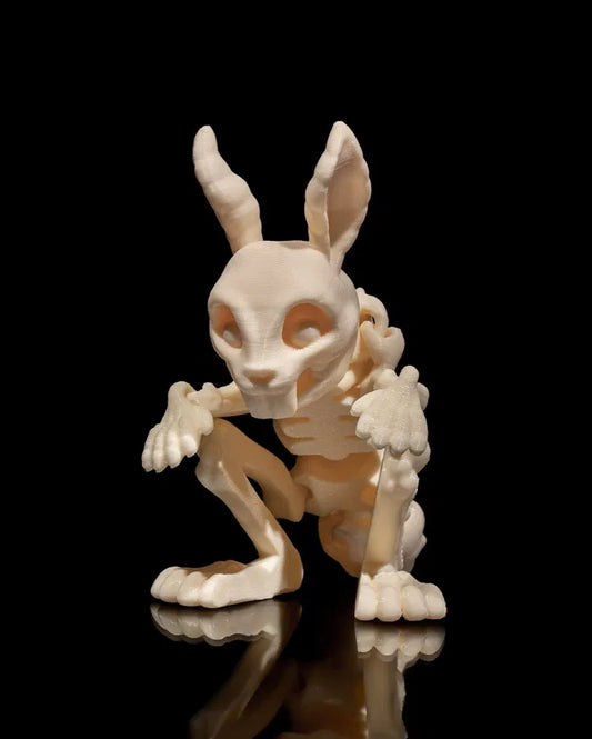 Skeletal Rabbit