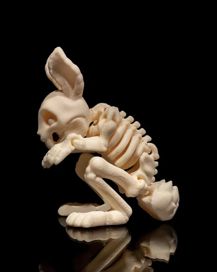 Skeletal Rabbit