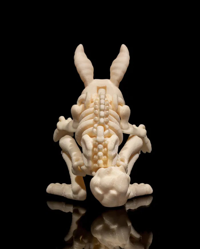 Skeletal Rabbit