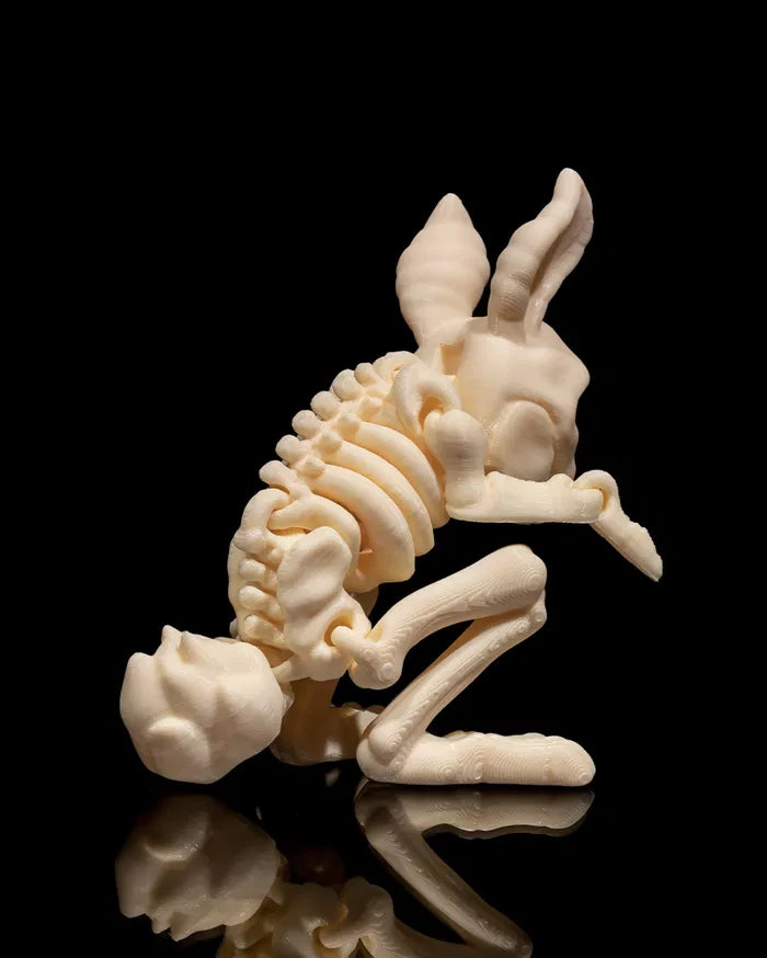 Skeletal Rabbit