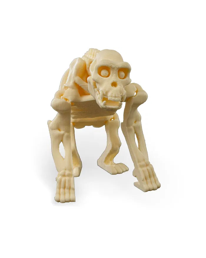 Safari Skelly Chimpanzee