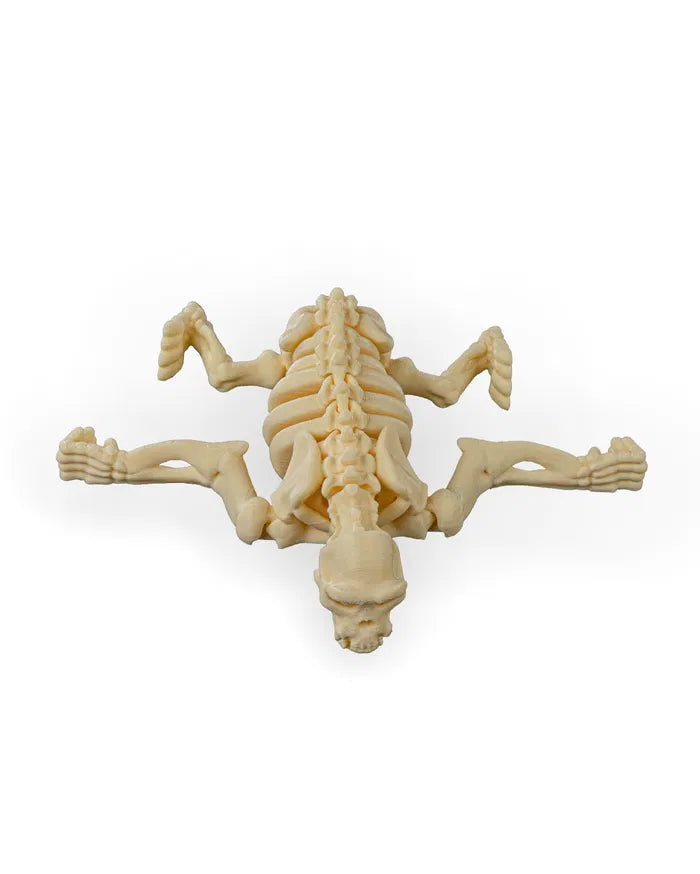 Safari Skelly Chimpanzee