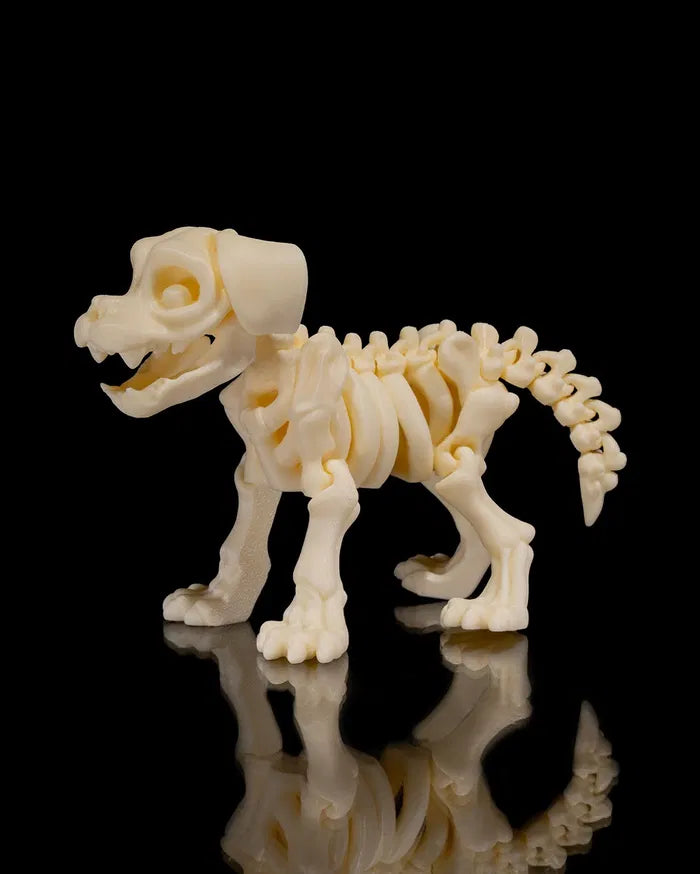 Skelly Dog