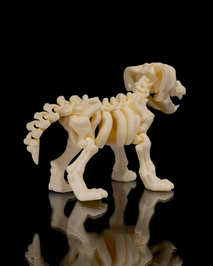 Skelly Dog