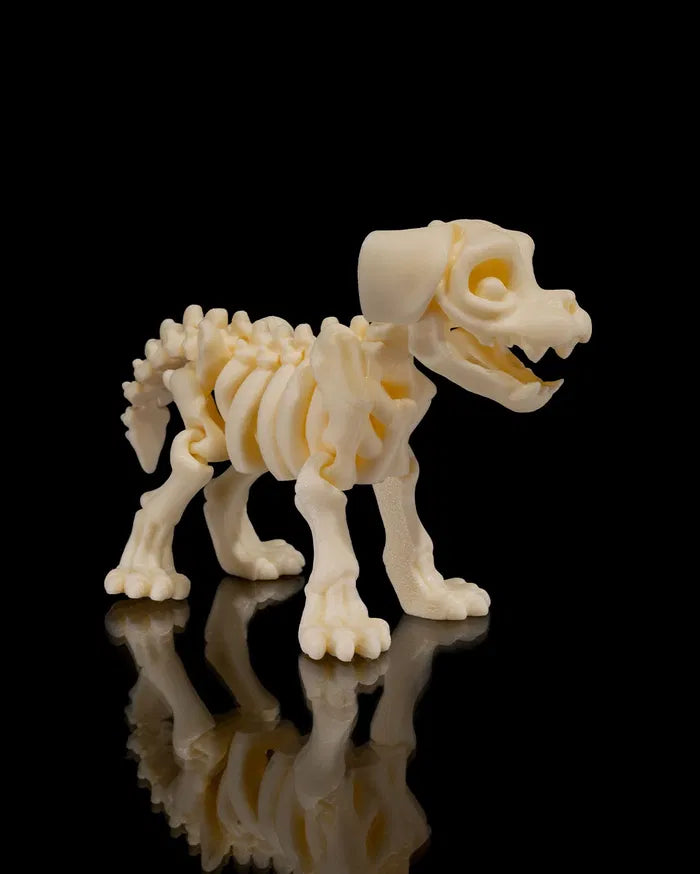 Skelly Dog