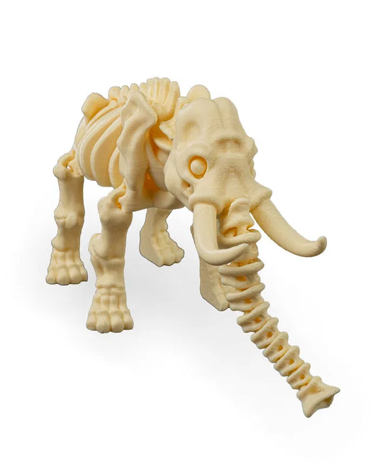 Safari Skelly Elephant