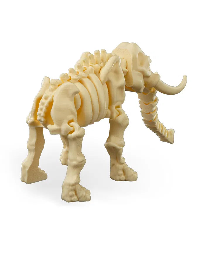 Safari Skelly Elephant