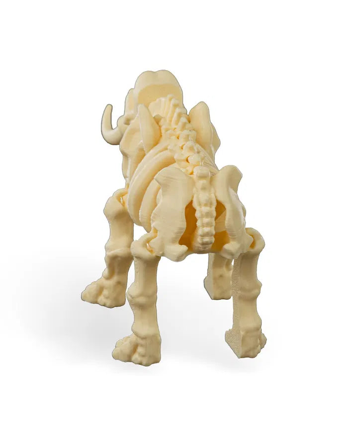 Safari Skelly Elephant