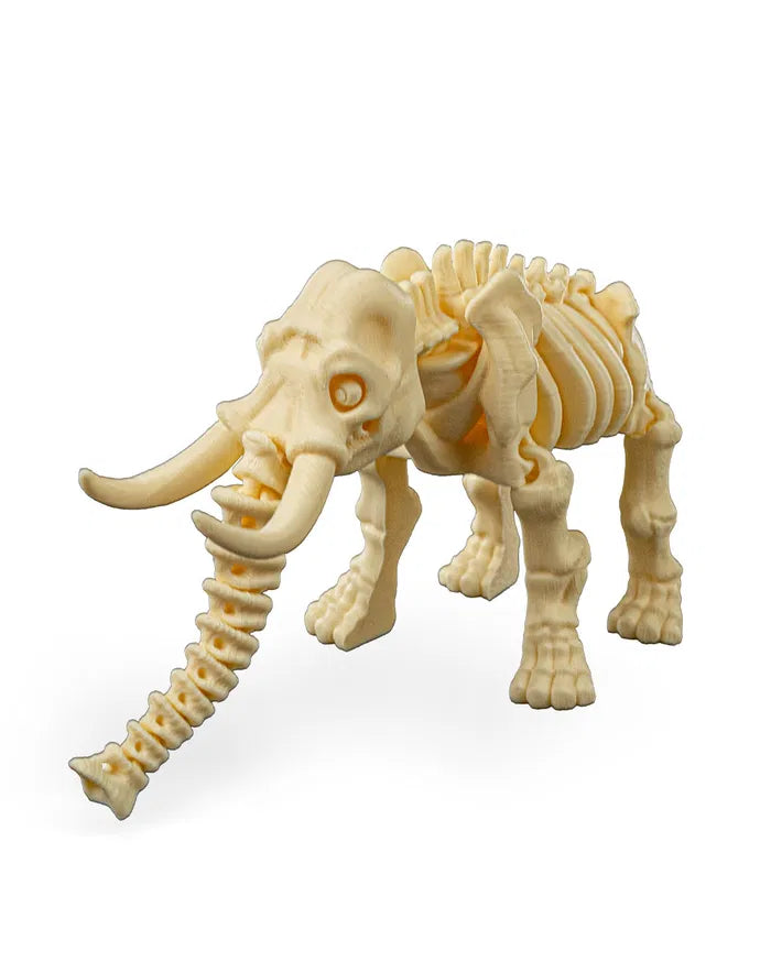 Safari Skelly Elephant