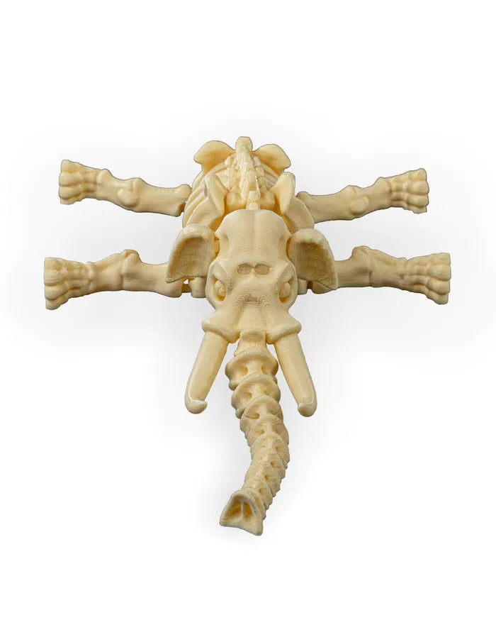 Safari Skelly Elephant
