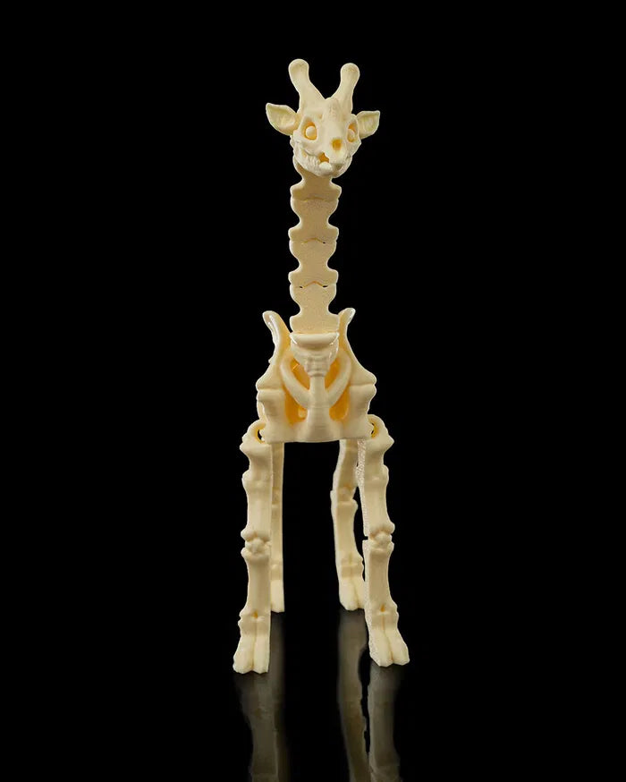 Safari Skelly Giraffe