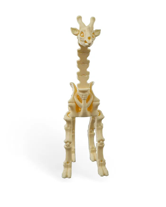 Safari Skelly Giraffe