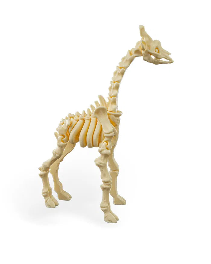 Safari Skelly Giraffe