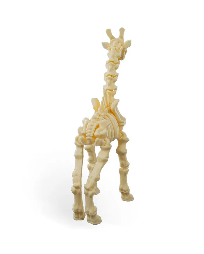 Safari Skelly Giraffe