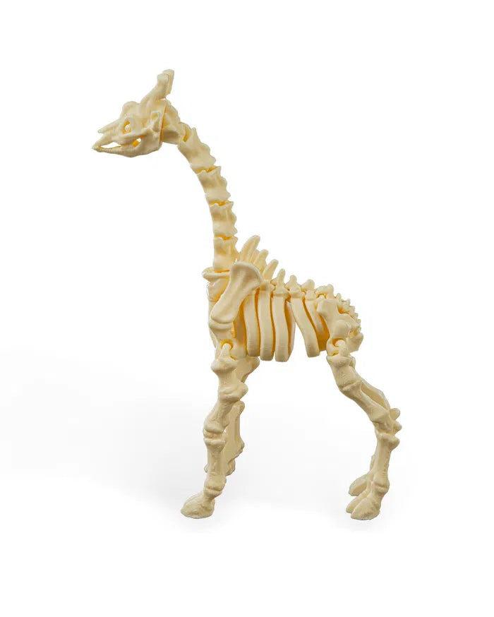 Safari Skelly Giraffe