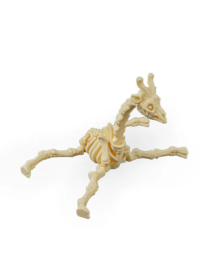 Safari Skelly Giraffe