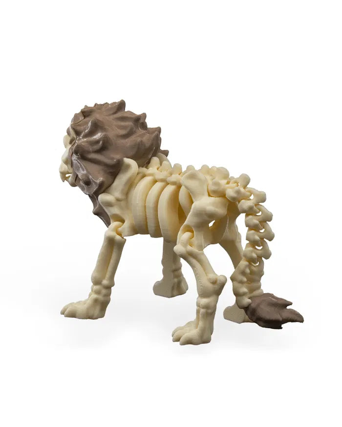 Safari Skelly Lion
