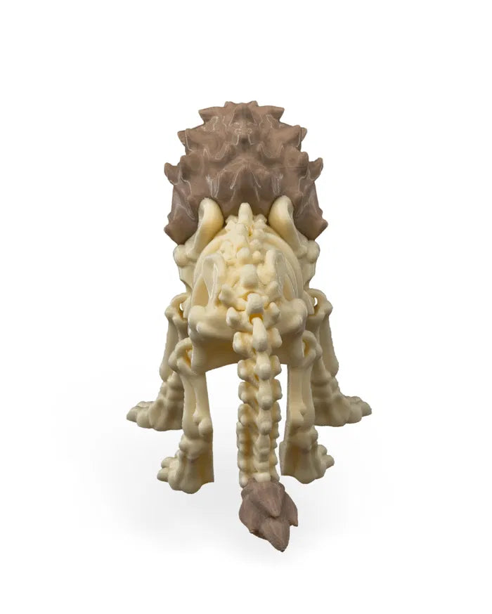 Safari Skelly Lion