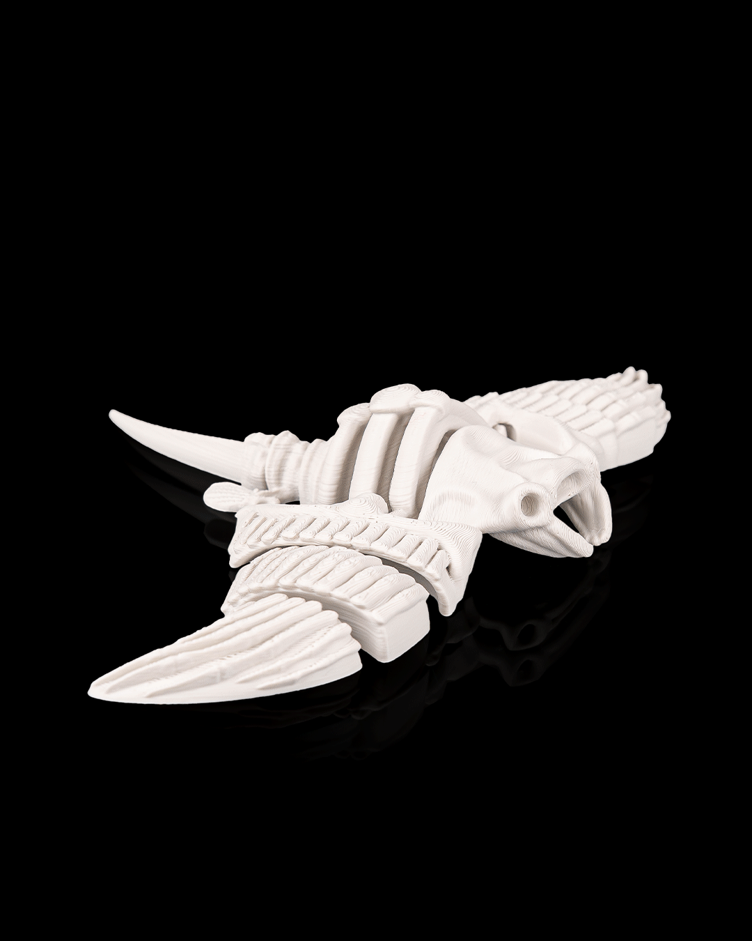 Skeleton Manta Ray
