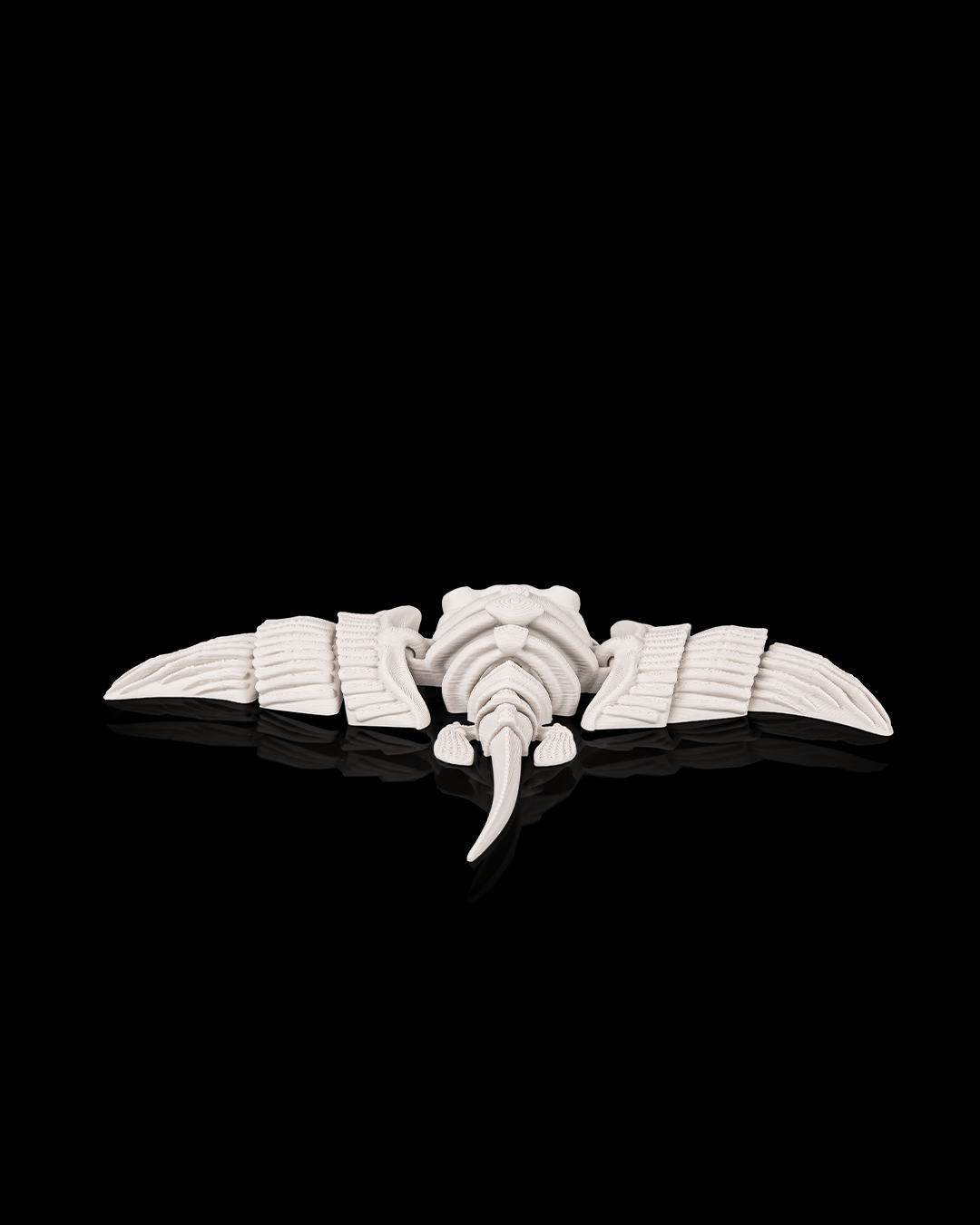 Skeleton Manta Ray