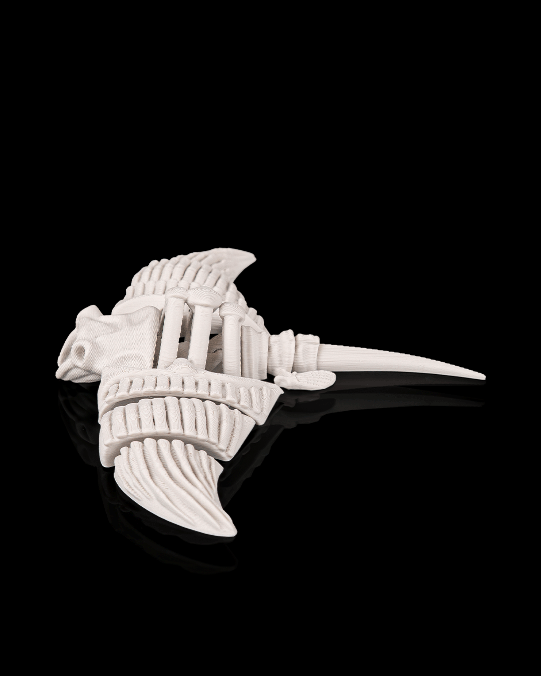 Skeleton Manta Ray