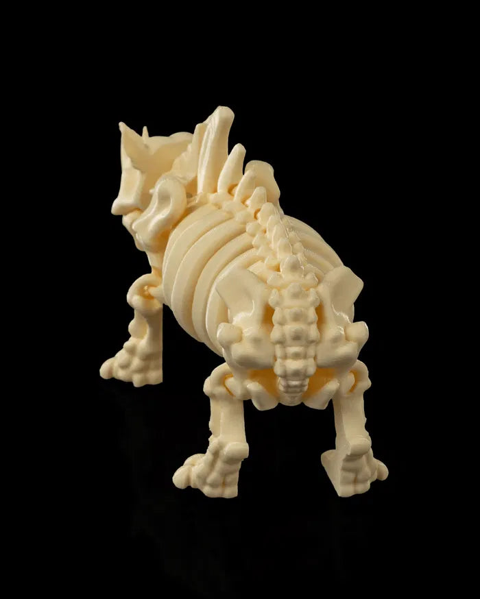 Safari Skelly Rhino