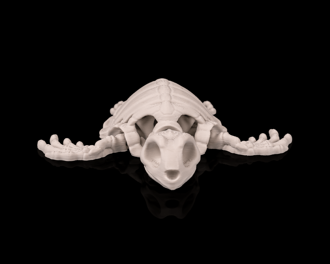 Skeleton Turtle