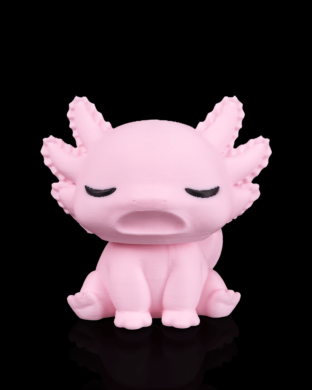Axolotl Haven with 3 Axolotls