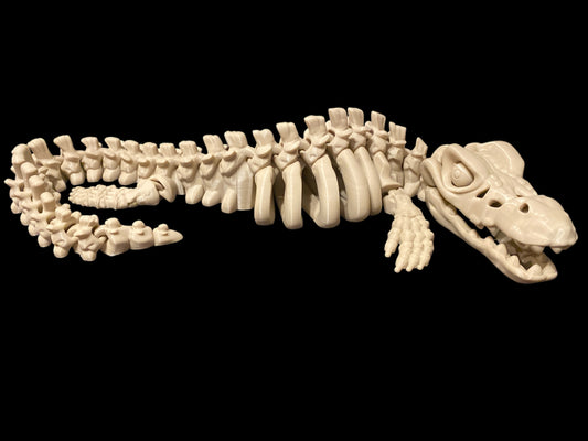 XXL Mosasaurus – The Apex Predator of the Seas