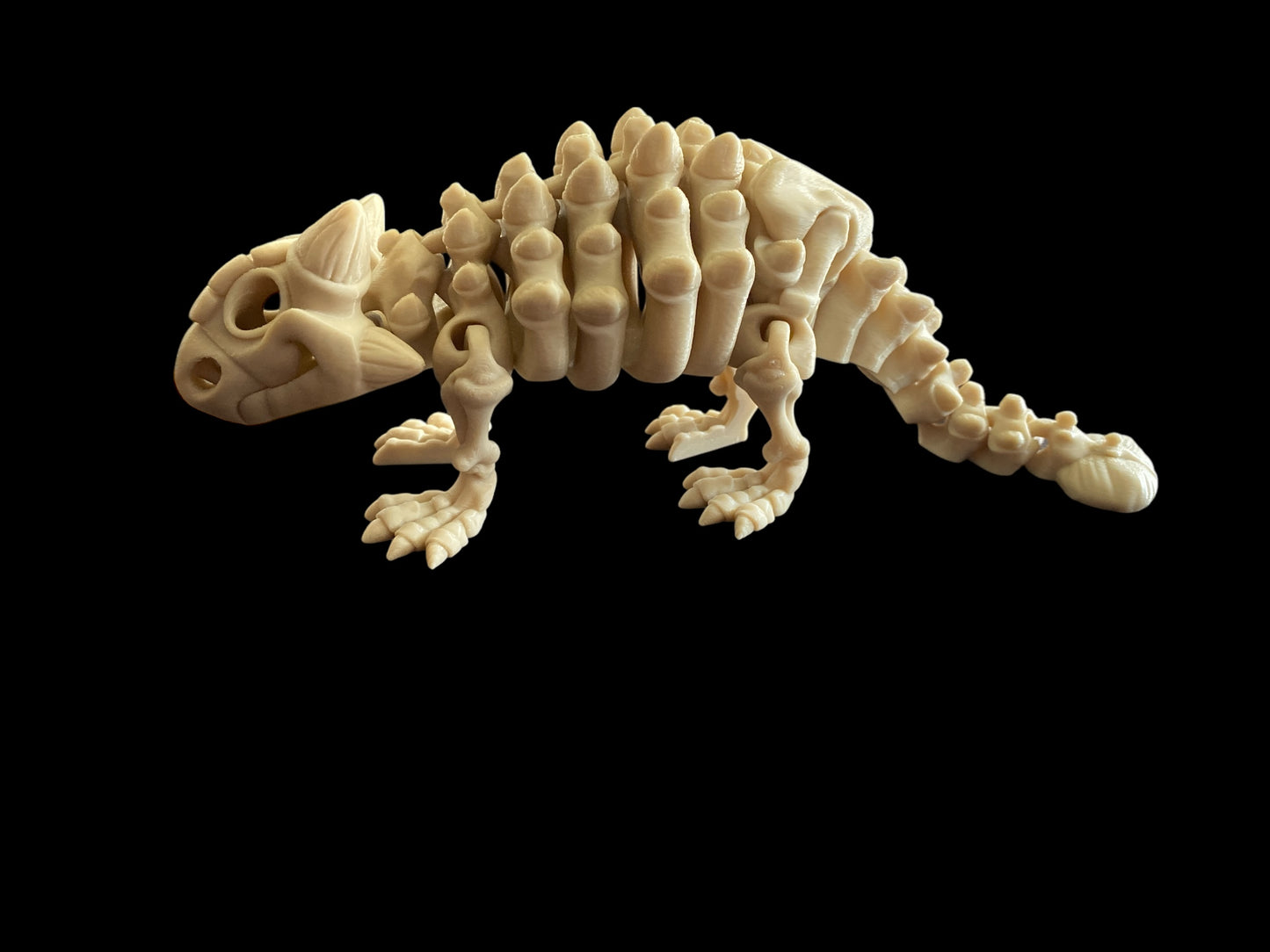 Skeleton Ankylosaurus