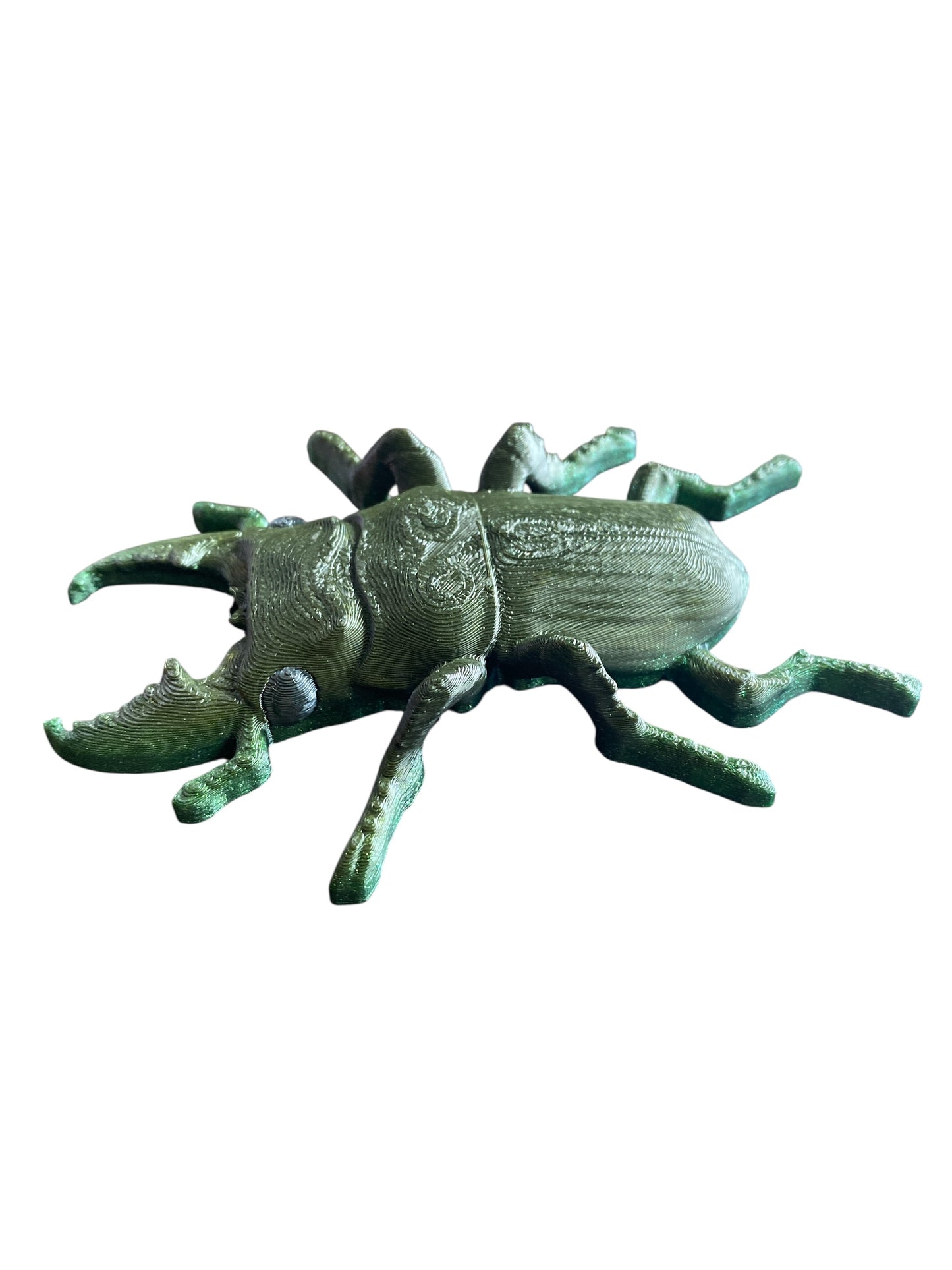 Stag Beetle – Fierce by Nature, Chill by Design