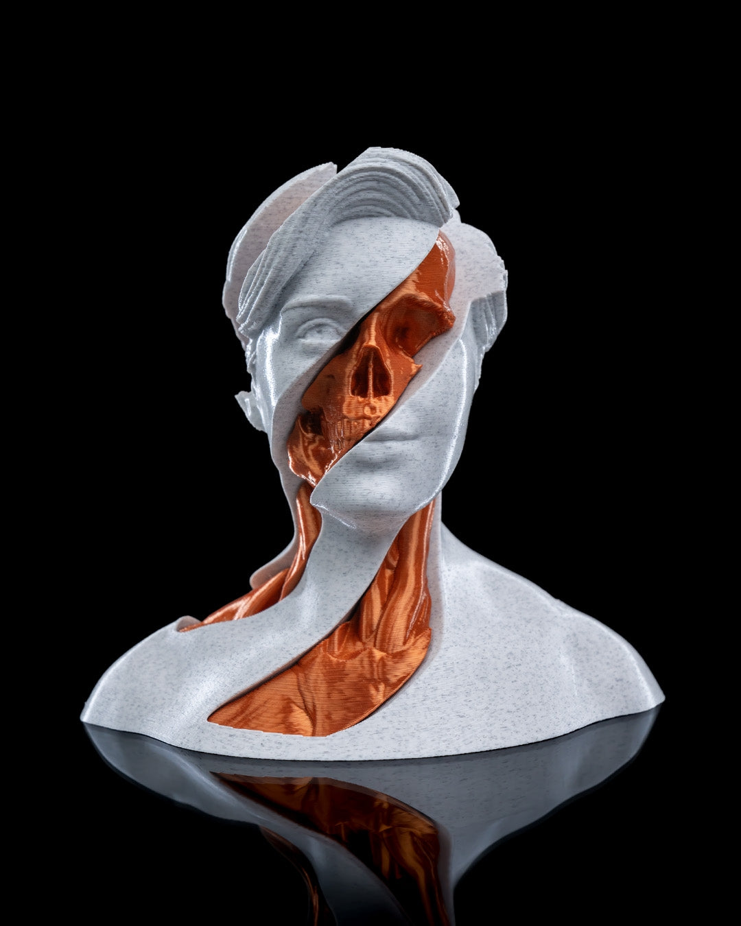 Whirls Anatomy Fidget