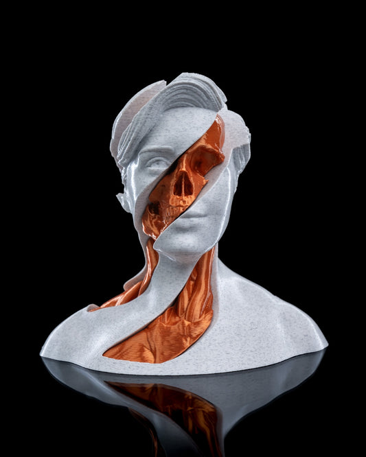 Whirls Anatomy Fidget