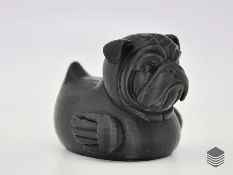 Tough, Loyal, and Absolutely Adorable — Meet the Bulldog Duck!