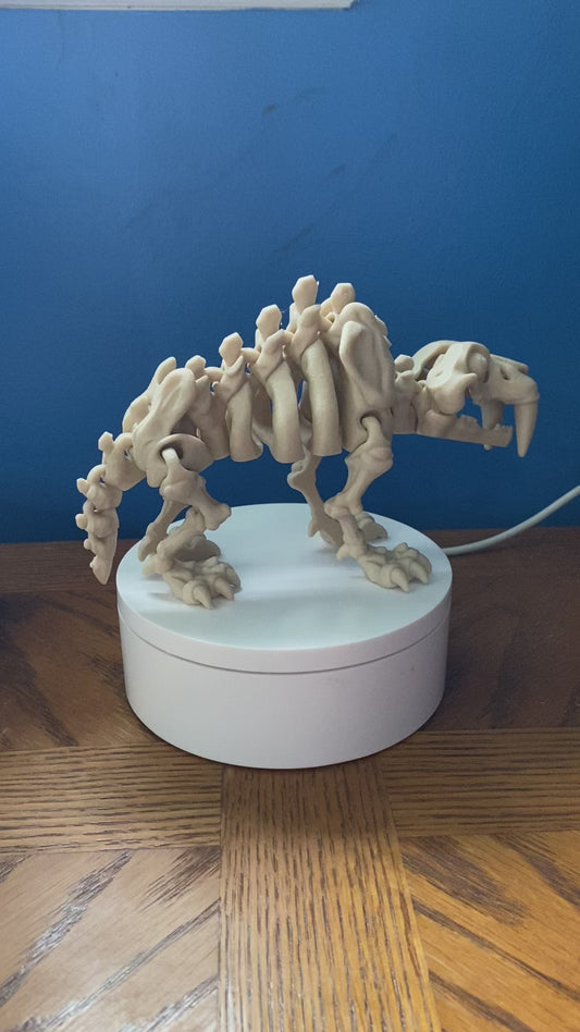 🦖 3D Printed Flexi Saber Tooth Dinosaur – Designed by FlexiFactory 🦖