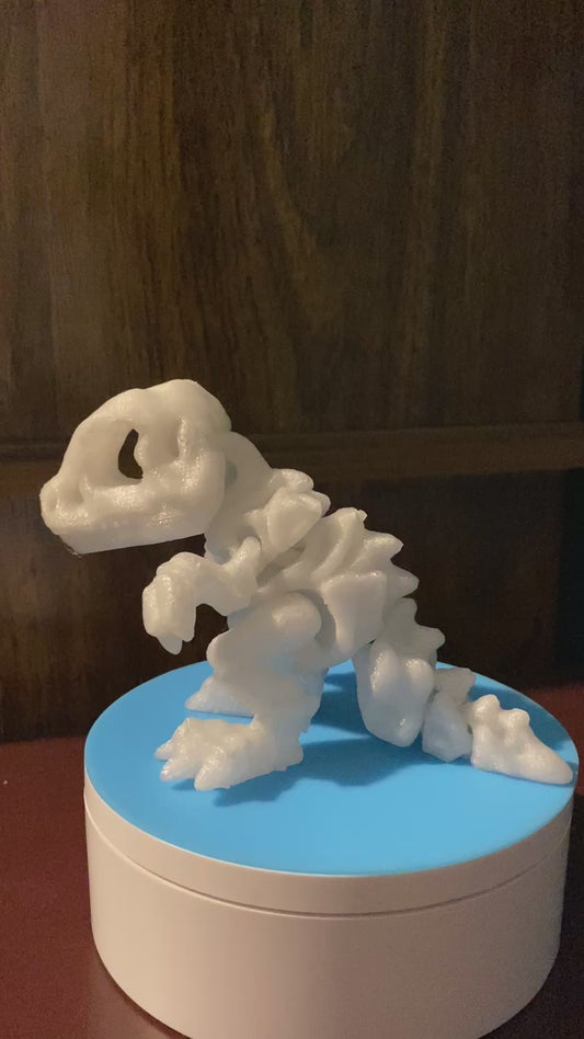 Tiny Skeleton T-Rex