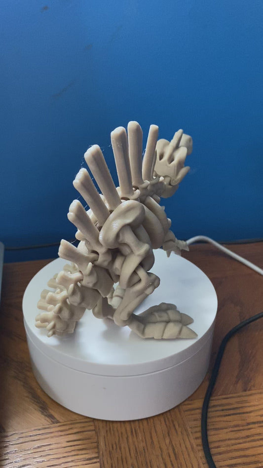 Skeleton Spinosaurus